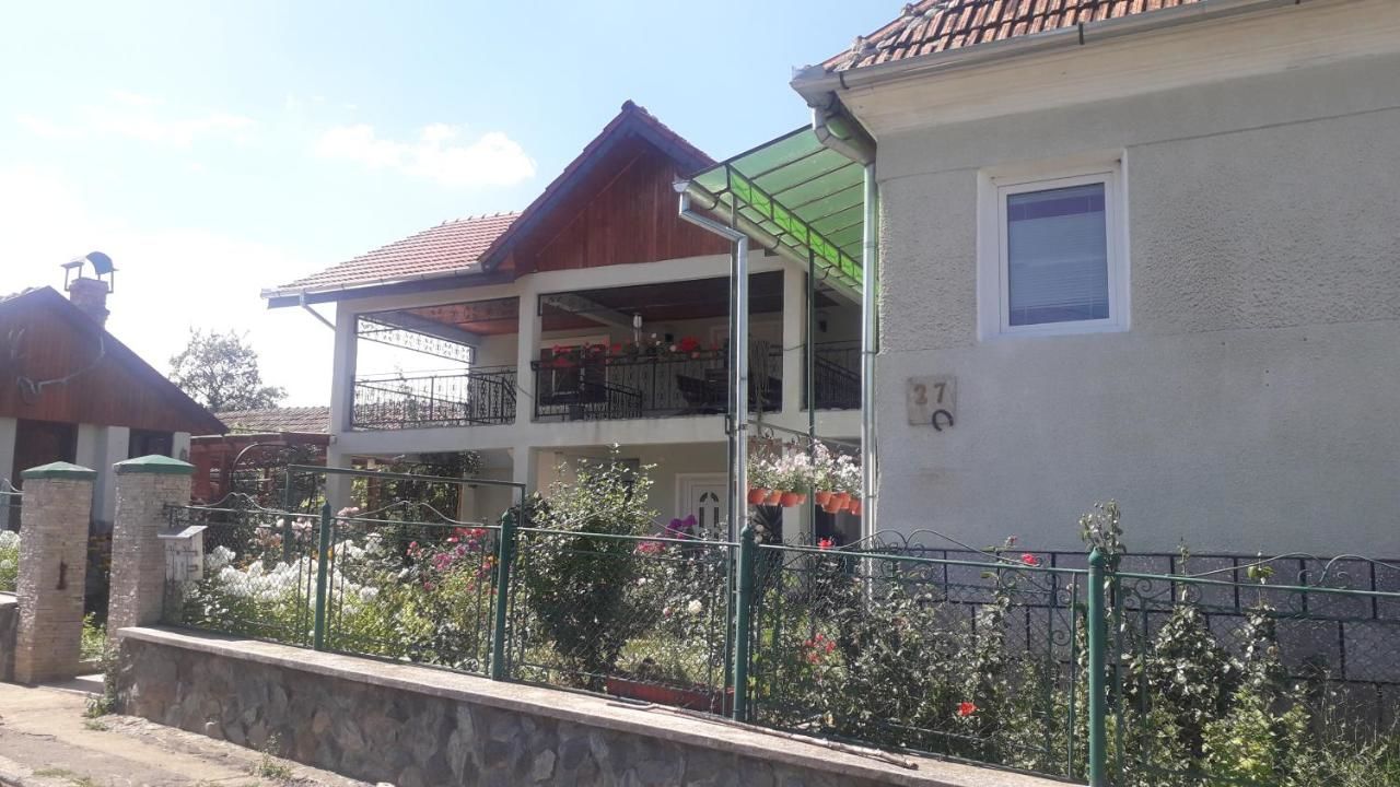 Загородные дома CASA MARIA RETEZAT Nucşoara-14