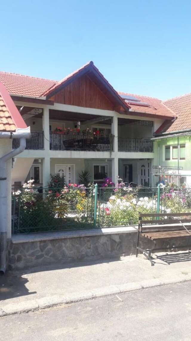 Загородные дома CASA MARIA RETEZAT Nucşoara-3